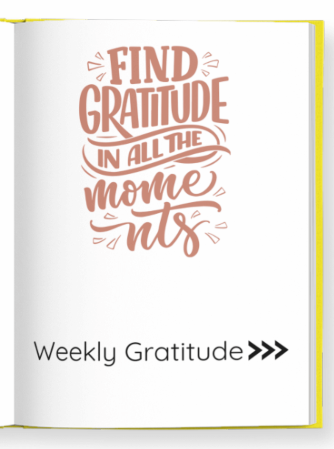 Gratitude Journal (5)